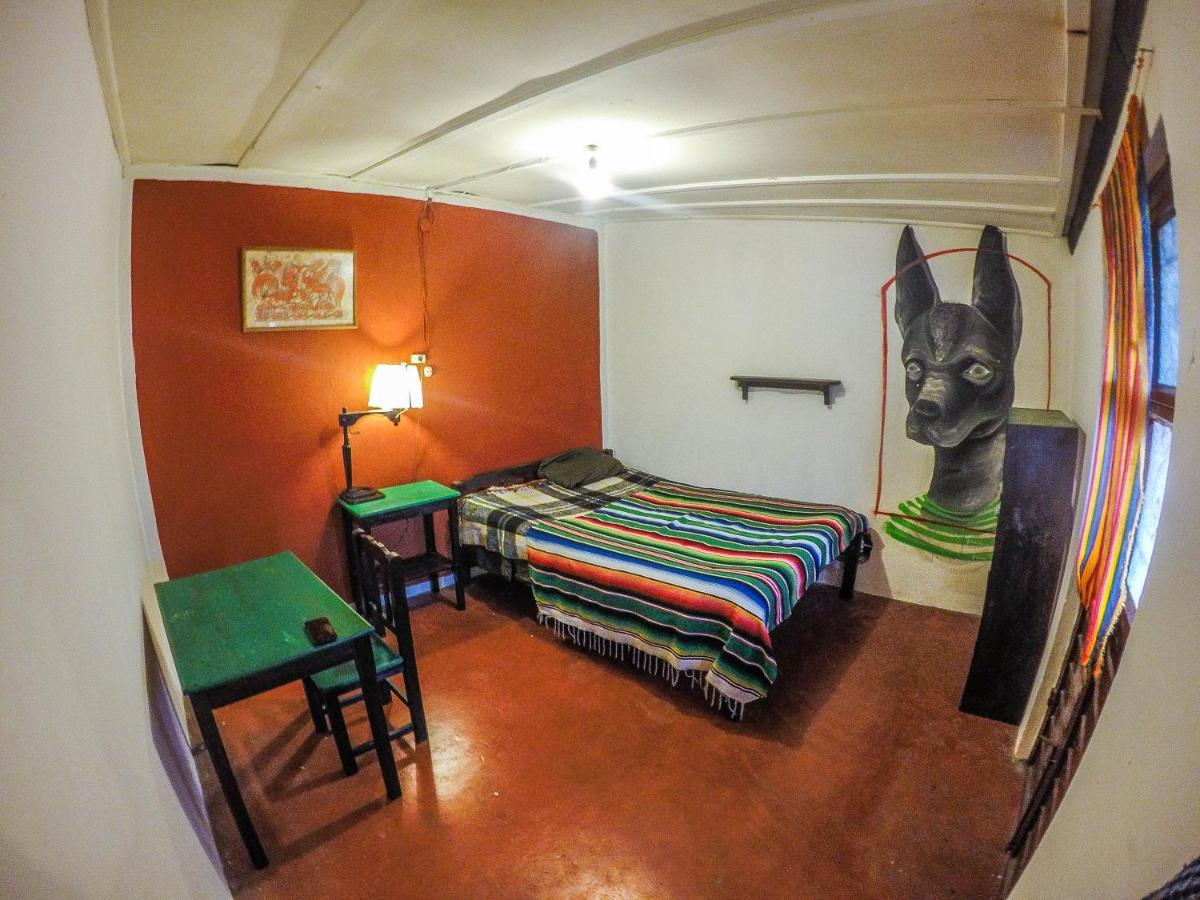Hostel El Nagual San Cristobal de las Casas Exterior photo